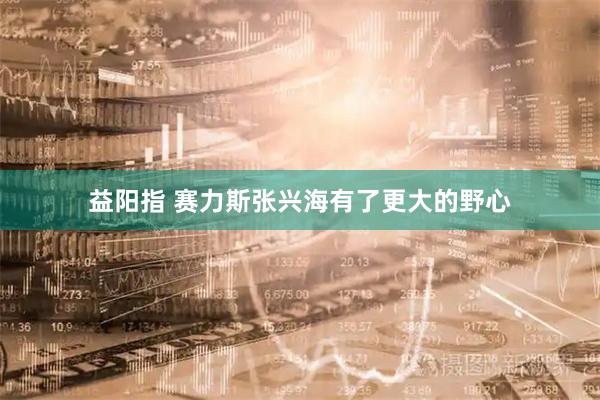益阳指 赛力斯张兴海有了更大的野心