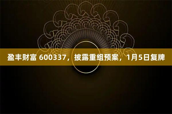 盈丰财富 600337，披露重组预案，1月5日复牌